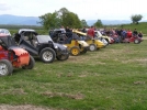 buggy