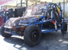 expo buggy 3