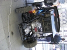expo buggy 7