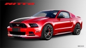 mustang nitto