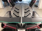 lamborghini veneno livrat client_09