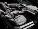 mercedes benz sl63 amg world championship 2014_9