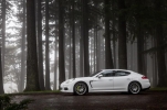2014 porsche panamera s e hybrid