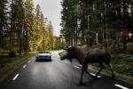volvo s90_01