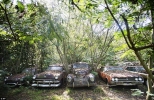 old car city 03