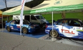 trofeul teliu 10
