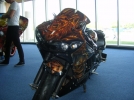 carmaniacs craiova_46