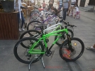 pegas craiova 12