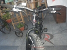 pegas craiova 2