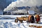 Mocanita Maramures Romania 5