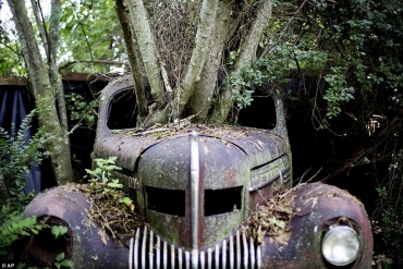 Old Car City: cel mai bizar muzeu auto