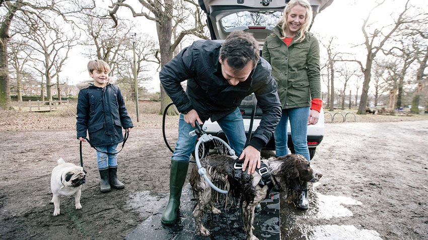 Nissan X-Trail 4Dogs dus